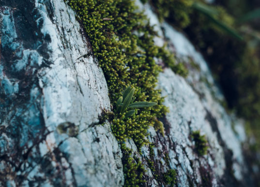 img-natural-water-sub-4.jpg